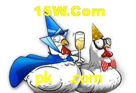 API Integration pk55.com